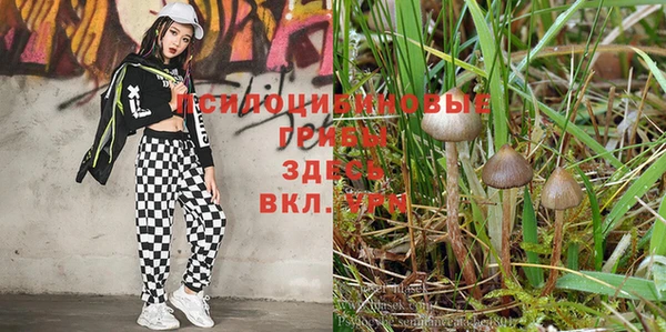 эйфоретик Карталы