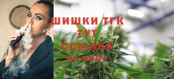 гидропоника Коряжма