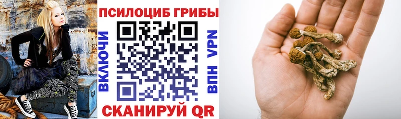 Псилоцибиновые грибы Psilocybe  Озёры 
